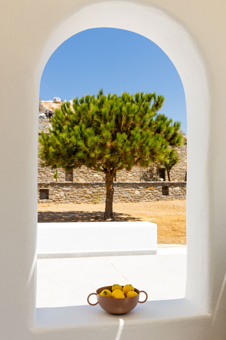 Traditional House Photography detail